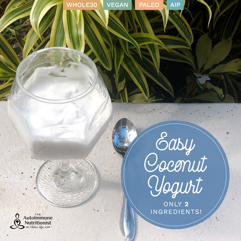 Easy Coconut Milk Yogurt – “Hacker Version” (Paleo, AIP, Whole30, Vegan)